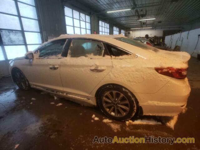 HYUNDAI SONATA SPORT, 5NPE34AF0HH458711