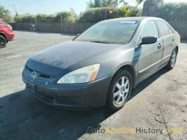 HONDA ACCORD EX, 1HGCM66525A051526