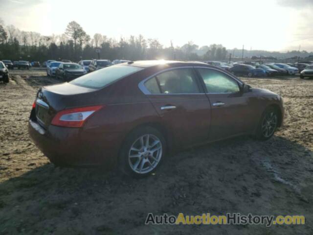 NISSAN MAXIMA S, 1N4AA5AP5BC831463