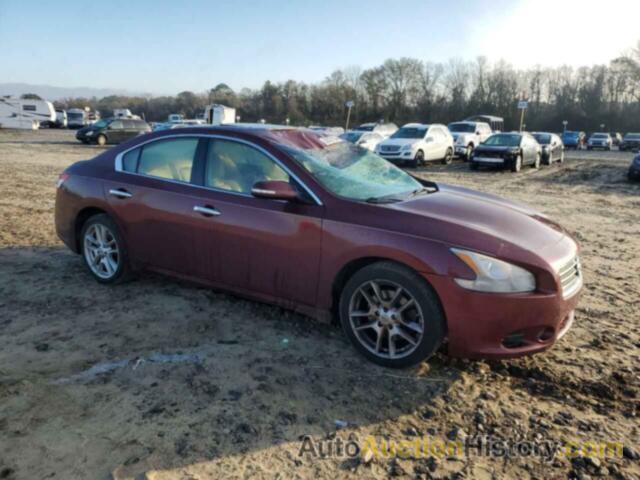 NISSAN MAXIMA S, 1N4AA5AP5BC831463