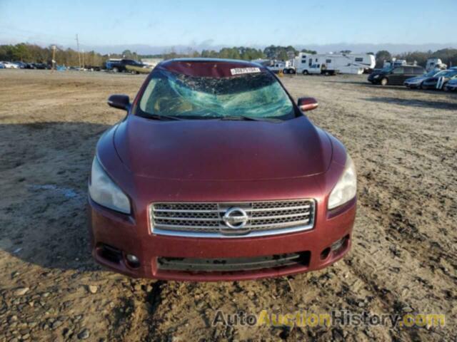 NISSAN MAXIMA S, 1N4AA5AP5BC831463