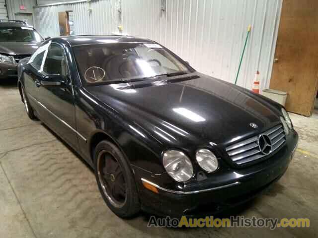 2002 MERCEDES-BENZ CL500, WDBPJ75J72A024314