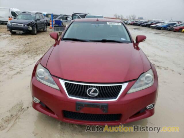 LEXUS IS 250, JTHFF2C2XB2519502