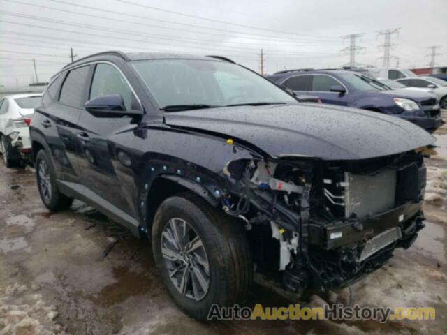 HYUNDAI TUCSON BLUE, KM8JBCA15PU102142