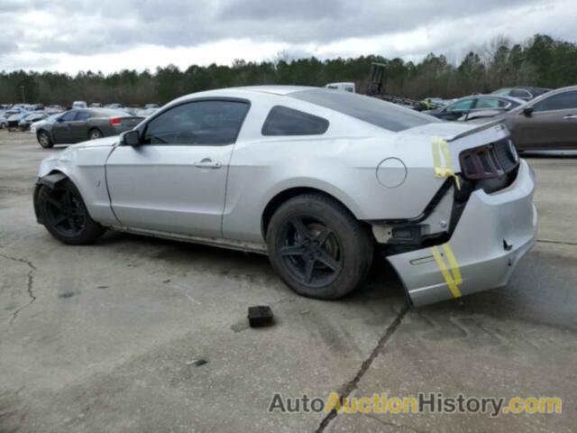 FORD MUSTANG GT, 1ZVBP8CF0D5248662