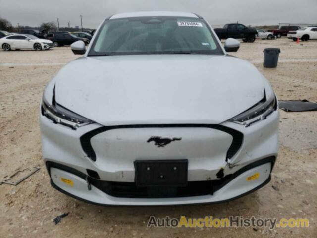 FORD MUSTANG SELECT, 3FMTK1RM5MMA41581