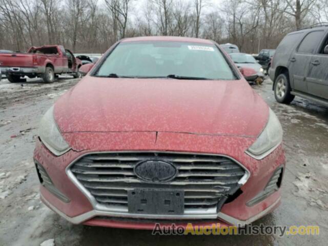 HYUNDAI SONATA SPORT, 5NPE34AF1JH646949