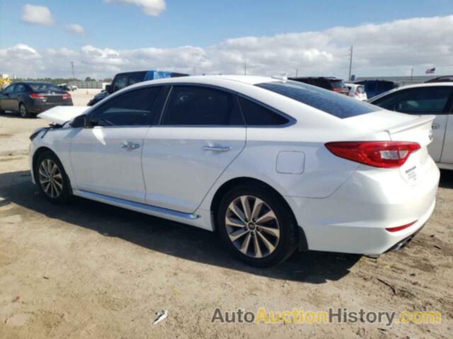 HYUNDAI SONATA SPORT, 5NPE34AF2GH299866