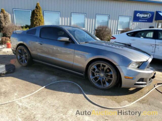 FORD MUSTANG GT, 1ZVBP8CF5E5203153