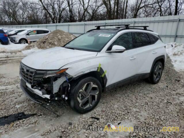 HYUNDAI TUCSON LIMITED, KM8JECAE4PU194404