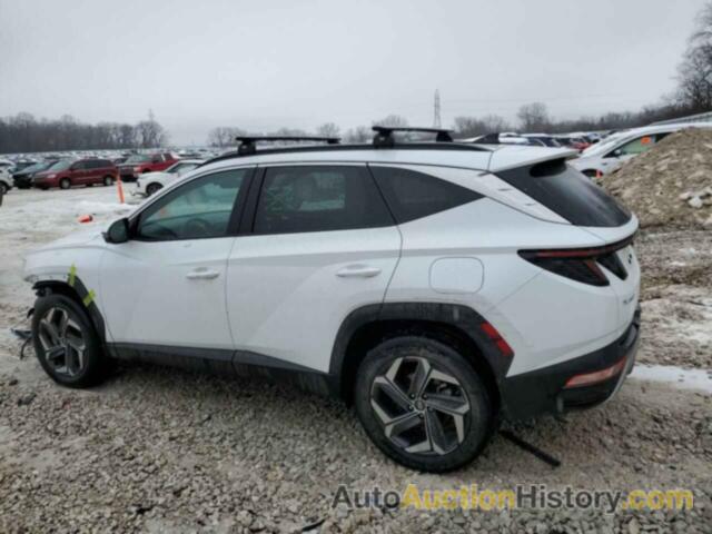 HYUNDAI TUCSON LIMITED, KM8JECAE4PU194404