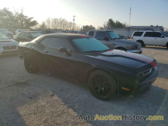 DODGE CHALLENGER SXT, 2C3CDYAG9DH554025