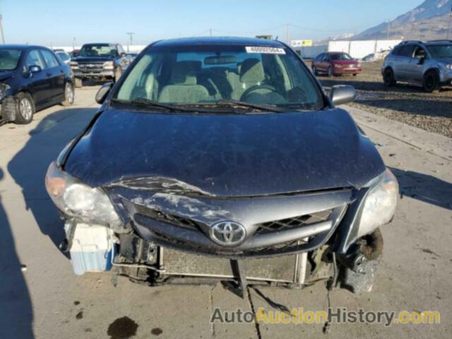 TOYOTA COROLLA BASE, 2T1BU4EE0BC566838