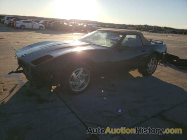 CHEVROLET CORVETTE, 1G1YY3387L5102622