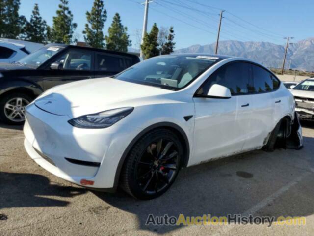 TESLA MODEL Y, 5YJYGDEF1LF051774