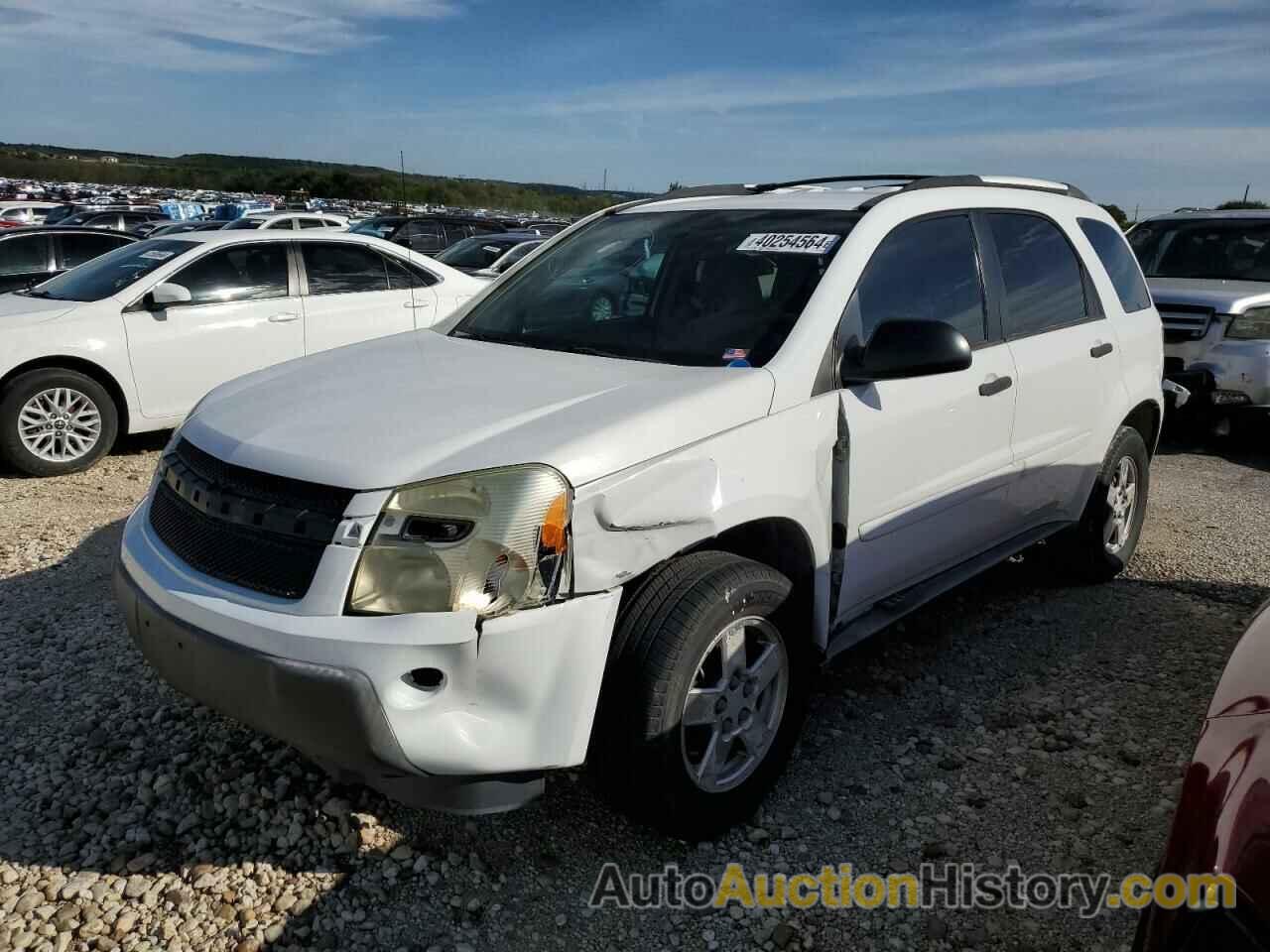 CHEVROLET EQUINOX LS, 2CNDL13F156195244