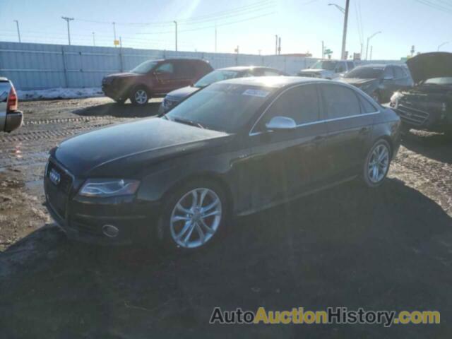 AUDI S4/RS4 PREMIUM PLUS, WAUBGAFL3AA081483