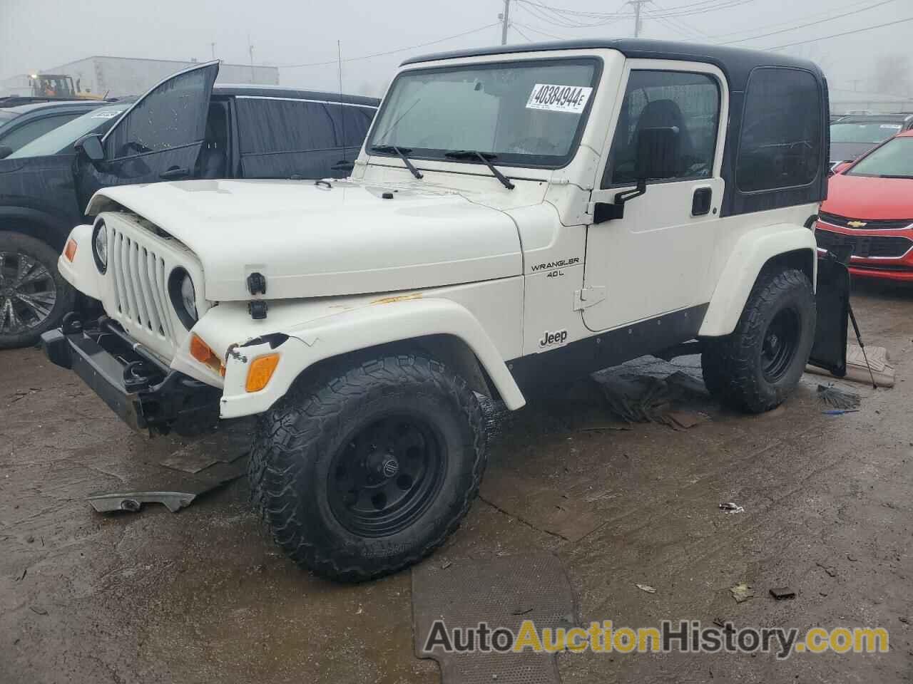 JEEP WRANGLER SAHARA, 1J4FA59S21P356641