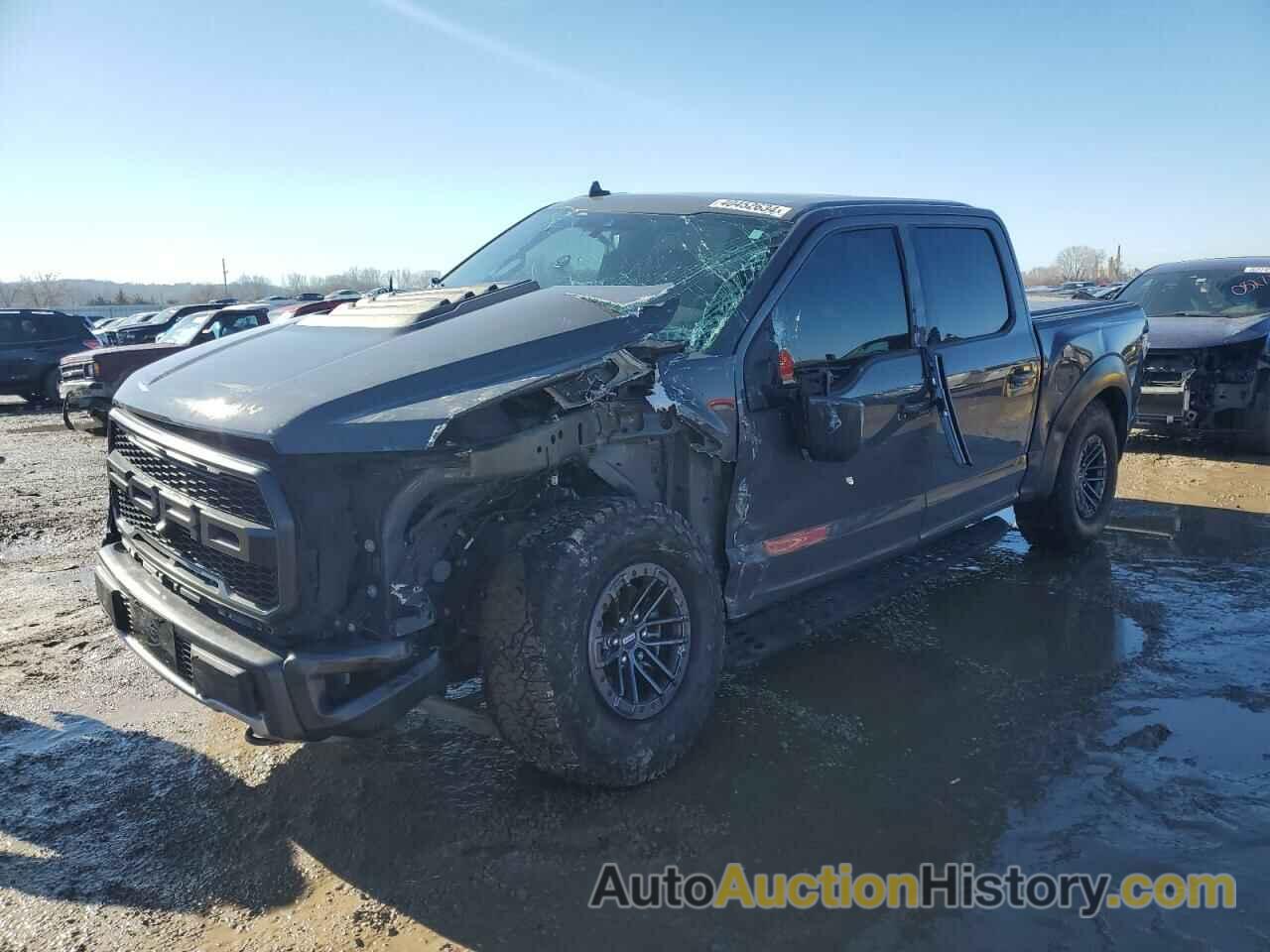 FORD F150 RAPTOR, 1FTFW1RG3LFA94407