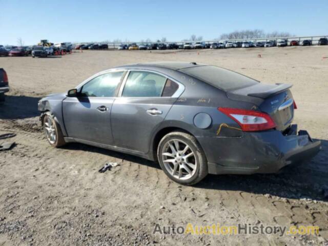 NISSAN MAXIMA S, 1N4AA5AP2AC833296