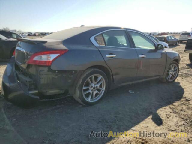 NISSAN MAXIMA S, 1N4AA5AP2AC833296