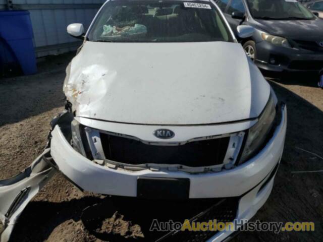 KIA OPTIMA LX, 5XXGM4A75EG295138