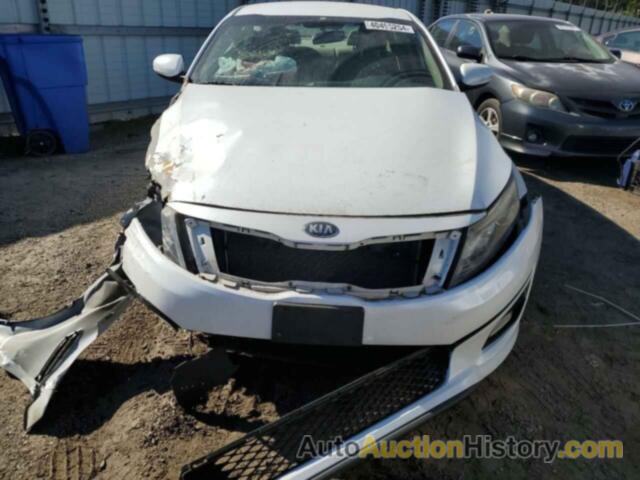 KIA OPTIMA LX, 5XXGM4A75EG295138