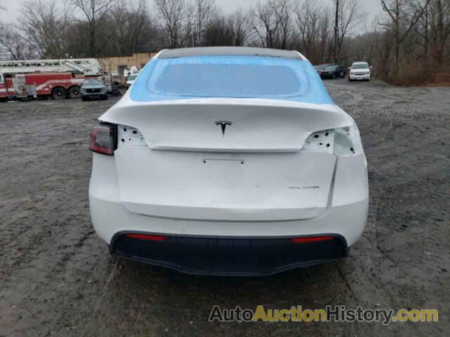 TESLA MODEL Y, 5YJYGDEE8MF305831