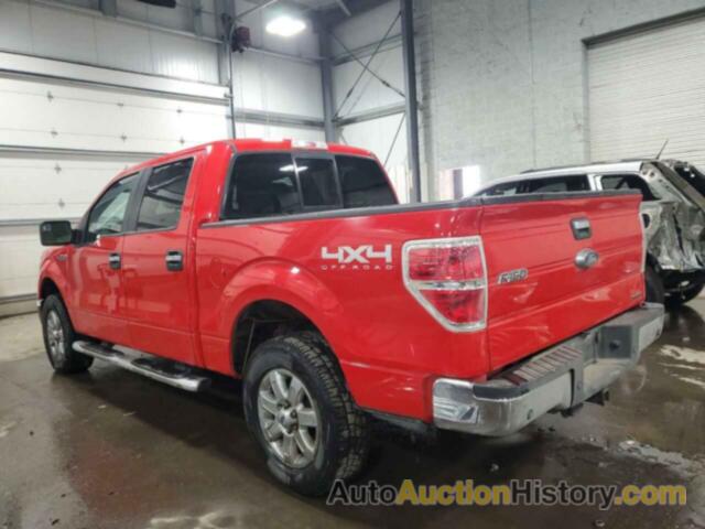 FORD F-150 SUPERCREW, 1FTFW1EF6DFD56161