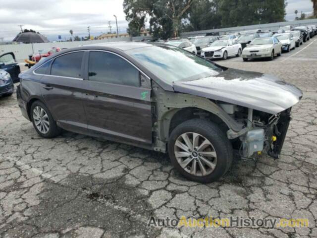 HYUNDAI SONATA SPORT, 5NPE34AF5FH132741