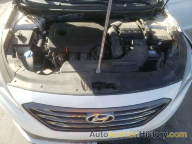 HYUNDAI SONATA SPORT, 5NPE34AF1HH549969