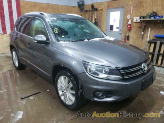 VOLKSWAGEN TIGUAN S, WVGBV3AX9EW533875