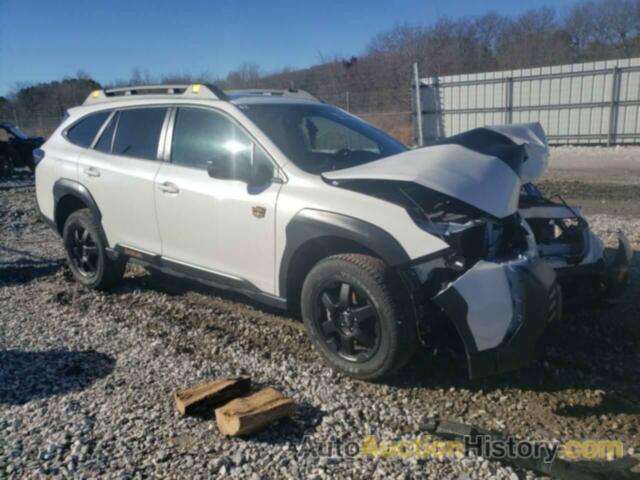 SUBARU OUTBACK WI WILDERNESS, 4S4BTGUD1P3131111