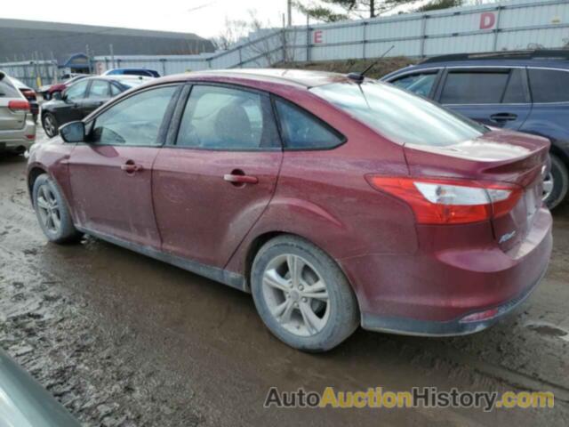 FORD FOCUS SE, 1FADP3F24DL306751