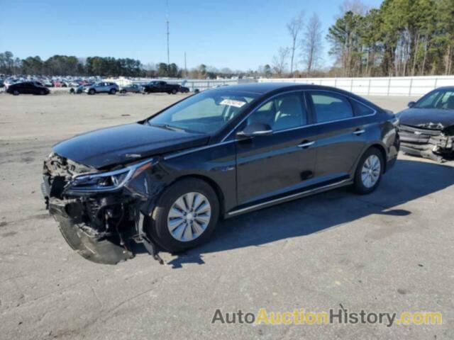 HYUNDAI SONATA HYBRID, KMHE24L13GA038012