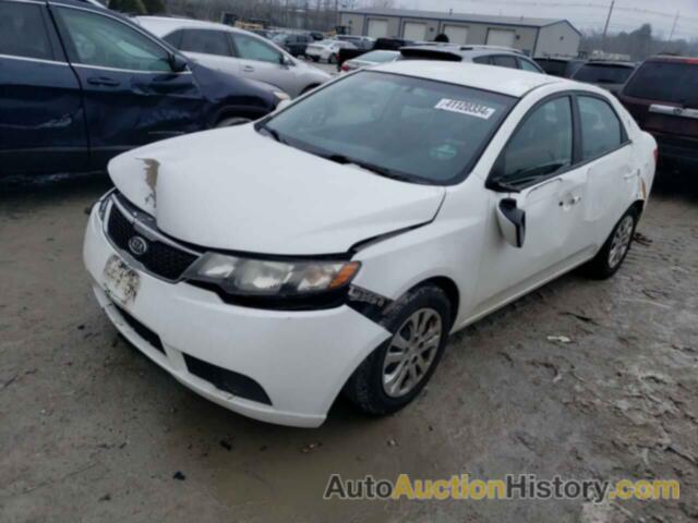 KIA FORTE EX, KNAFU4A2XB5381221