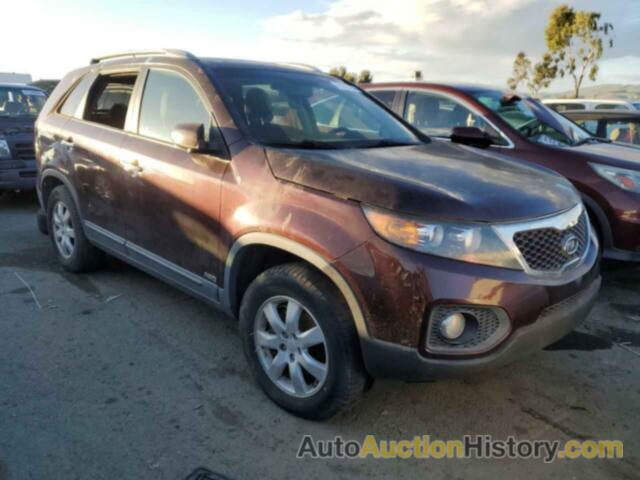 KIA SORENTO BASE, 5XYKTDA13BG060429