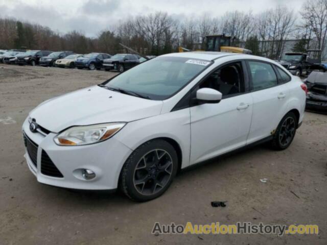 FORD FOCUS SE, 1FAHP3F25CL389431