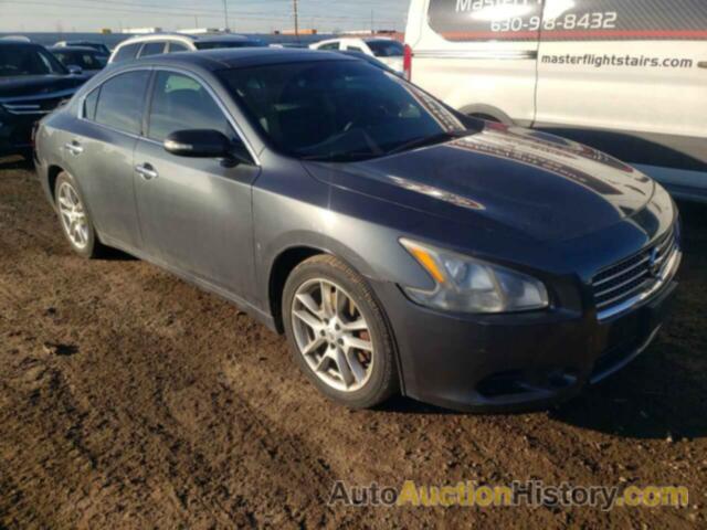 NISSAN MAXIMA S, 1N4AA5AP3BC833180