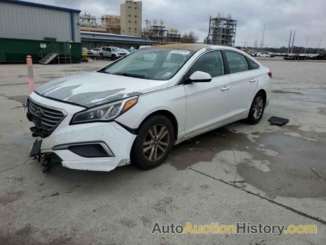 HYUNDAI SONATA SE, 5NPE24AF4HH494372