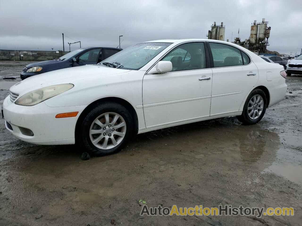 LEXUS ES300 300, JTHBF30G436006809