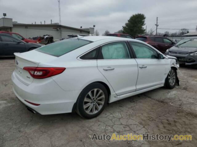 HYUNDAI SONATA SPORT, 5NPE34AF0HH567170