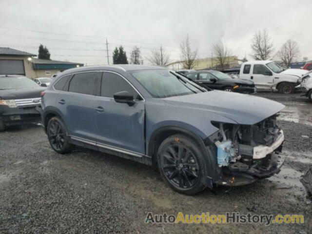 MAZDA CX-9 GRAND TOURING, JM3TCBDYXM0507517