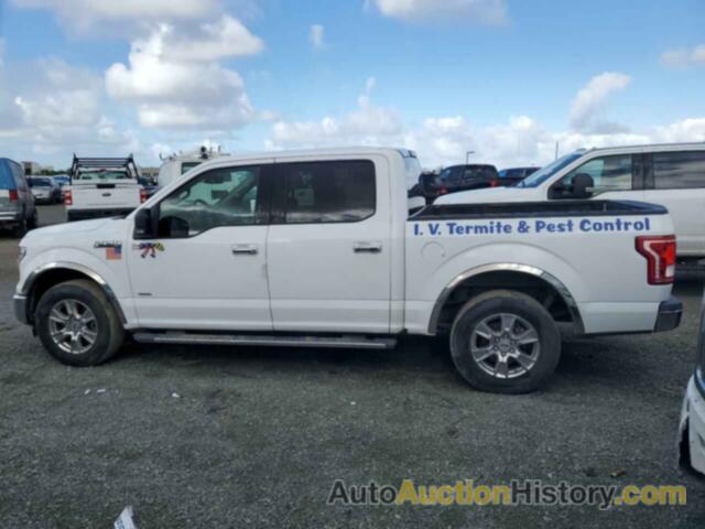 FORD F-150 SUPERCREW, 1FTEW1CP5HKC74376