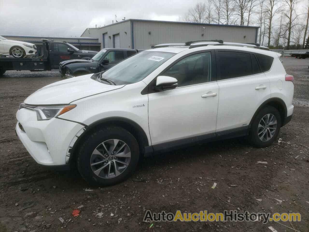 TOYOTA RAV4 XLE, JTMRJREV1GD024419