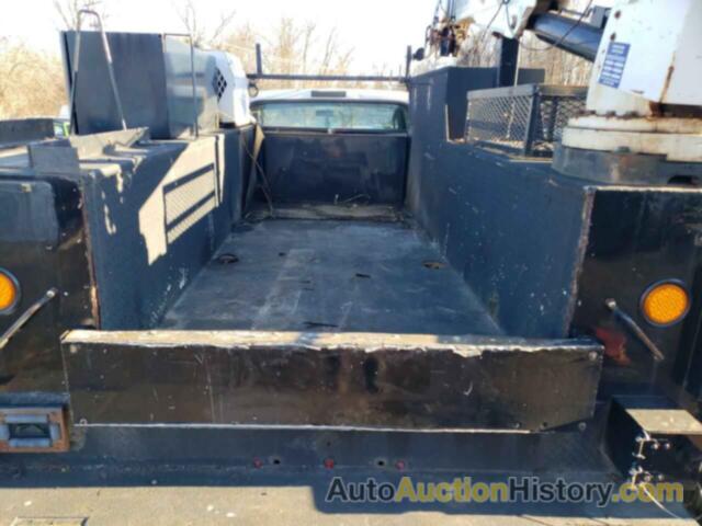 FORD F550 SUPER DUTY, 1FDAF56P06ED20043