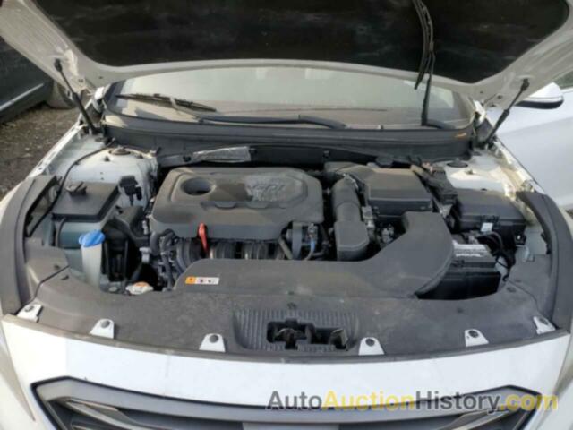 HYUNDAI SONATA SPORT, 5NPE34AF1HH482399