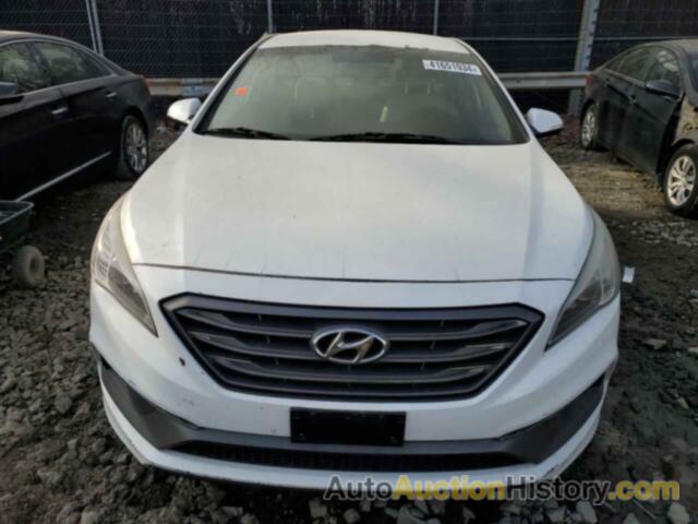 HYUNDAI SONATA SPORT, 5NPE34AF1HH482399