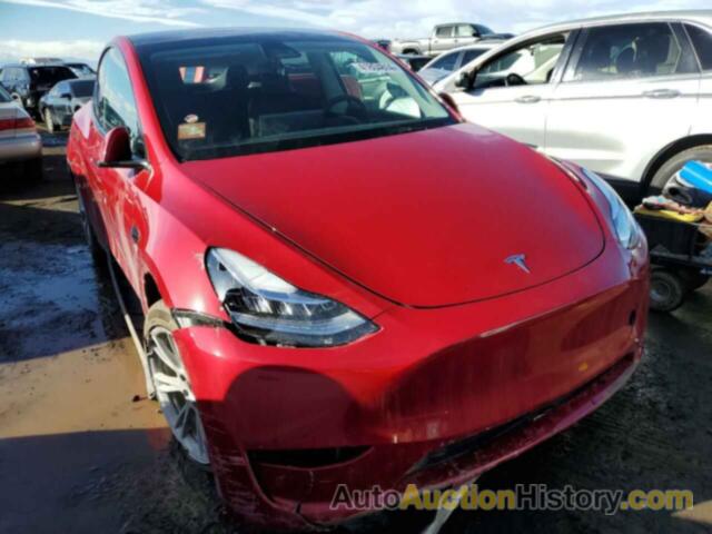 TESLA MODEL Y, 7SAYGAEE5PF617725