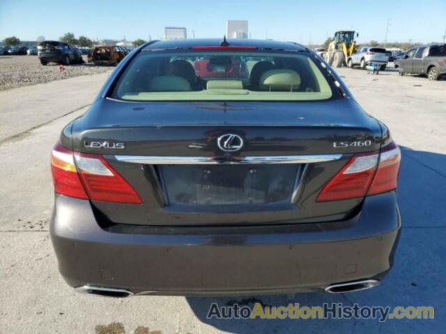 LEXUS LS460 460, JTHBL5EF5A5092137